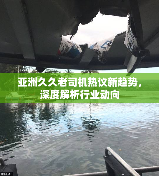 亚洲久久老司机热议新趋势，深度解析行业动向