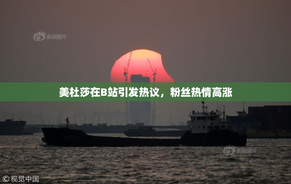 美杜莎在B站引发热议，粉丝热情高涨