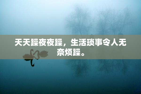 天天躁夜夜躁，生活琐事令人无奈烦躁。