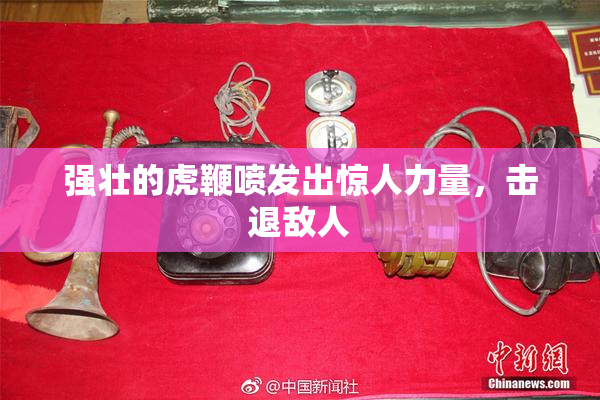 强壮的虎鞭喷发出惊人力量，击退敌人