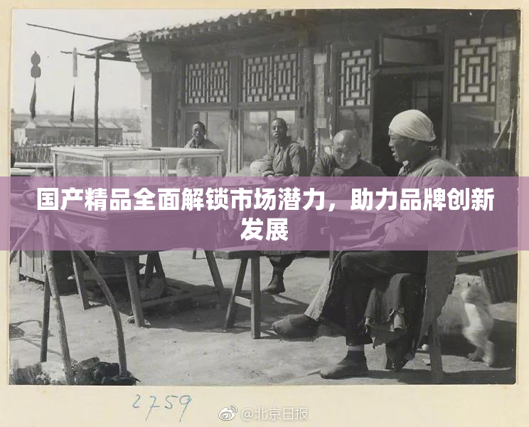 国产精品全面解锁市场潜力，助力品牌创新发展