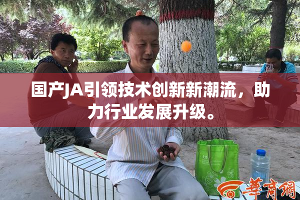 国产JA引领技术创新新潮流，助力行业发展升级。