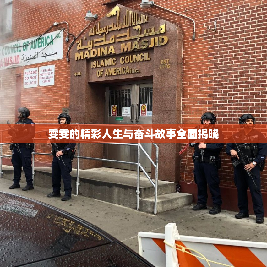 雯雯的精彩人生与奋斗故事全面揭晓