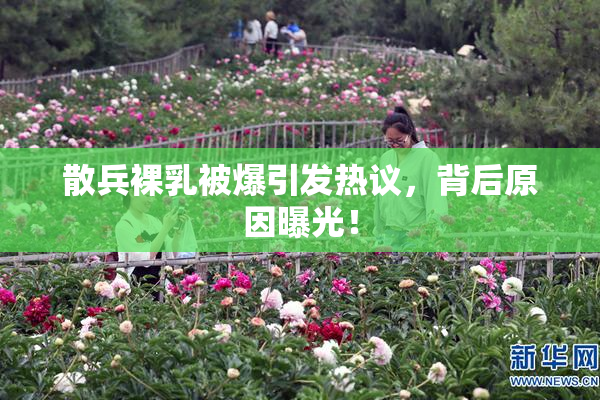 散兵裸乳被爆引发热议，背后原因曝光！