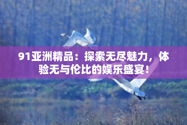 91亚洲精品：探索无尽魅力，体验无与伦比的娱乐盛宴！