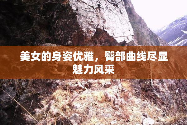 美女的身姿优雅，臀部曲线尽显魅力风采