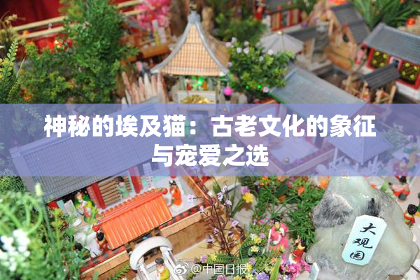 神秘的埃及猫：古老文化的象征与宠爱之选