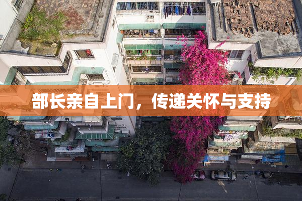 部长亲自上门，传递关怀与支持