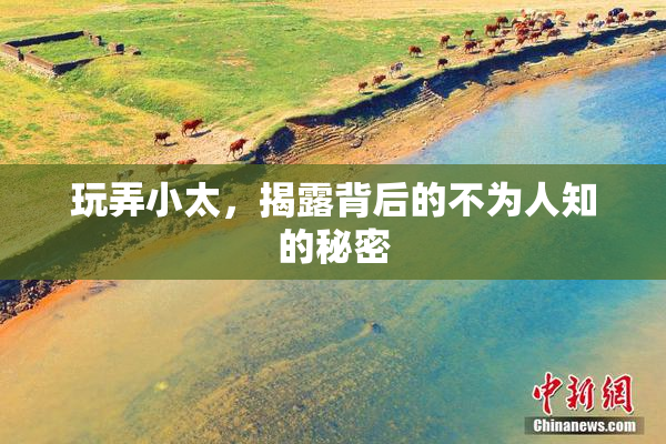 玩弄小太，揭露背后的不为人知的秘密