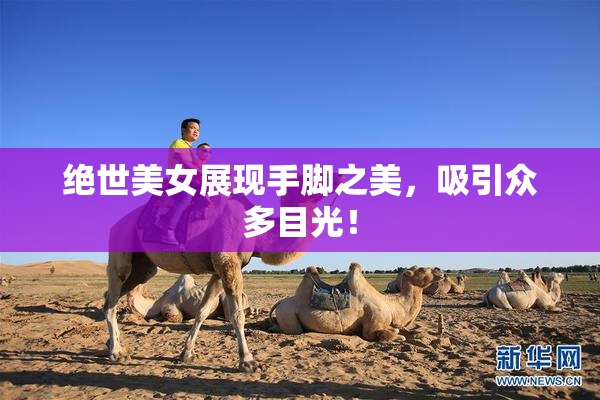 绝世美女展现手脚之美，吸引众多目光！