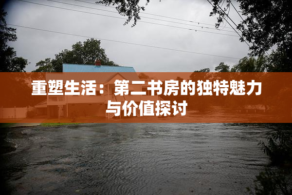 重塑生活：第二书房的独特魅力与价值探讨