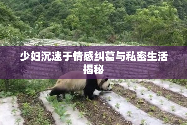 少妇沉迷于情感纠葛与私密生活揭秘
