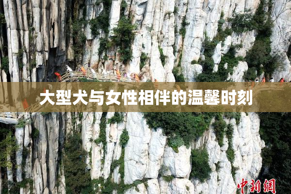 大型犬与女性相伴的温馨时刻