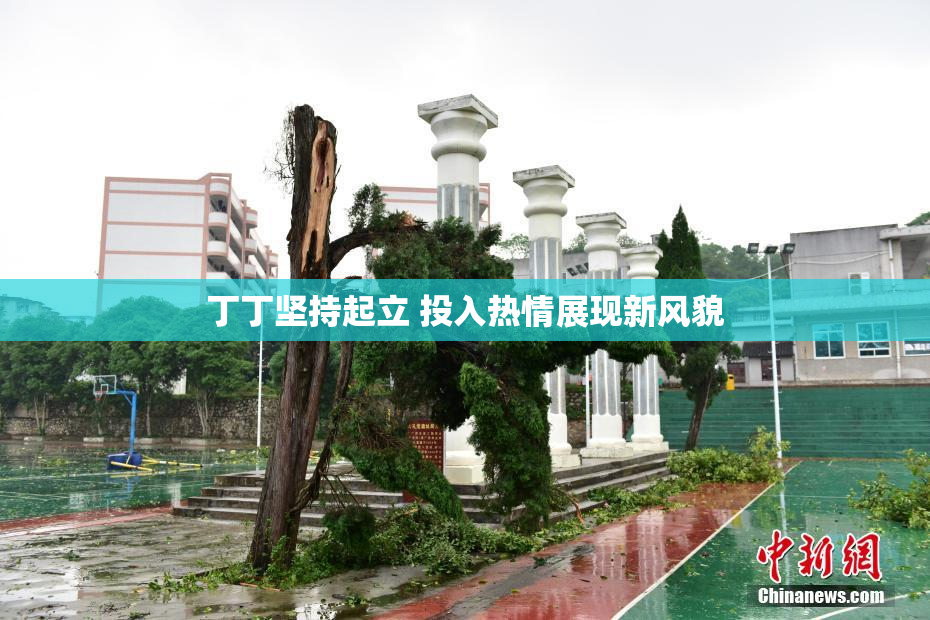 丁丁坚持起立 投入热情展现新风貌