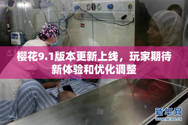 樱花9.1版本更新上线，玩家期待新体验和优化调整