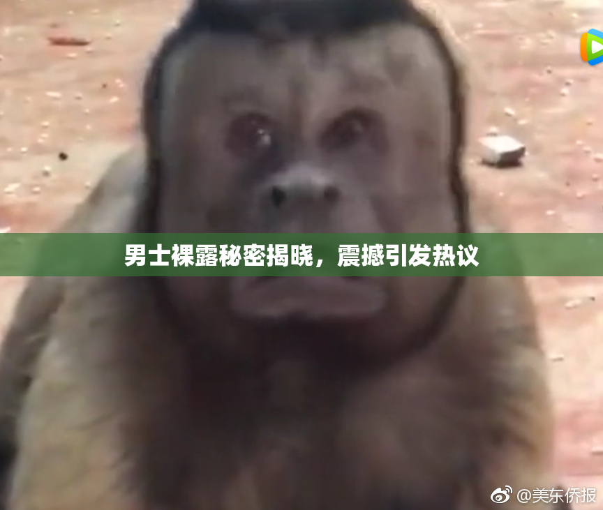 男士裸露秘密揭晓，震撼引发热议
