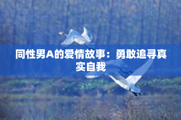 同性男A的爱情故事：勇敢追寻真实自我