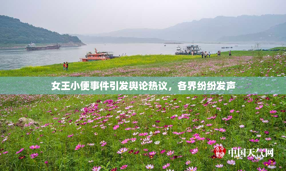 女王小便事件引发舆论热议，各界纷纷发声