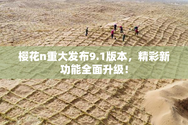 樱花n重大发布9.1版本，精彩新功能全面升级！