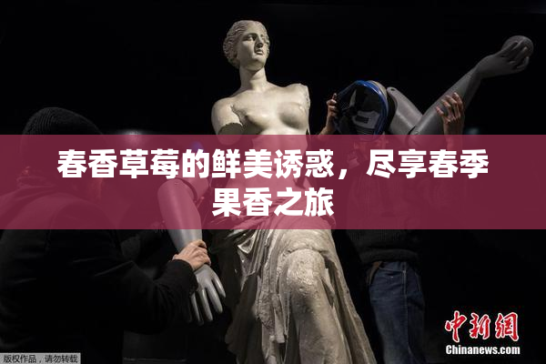 春香草莓的鲜美诱惑，尽享春季果香之旅