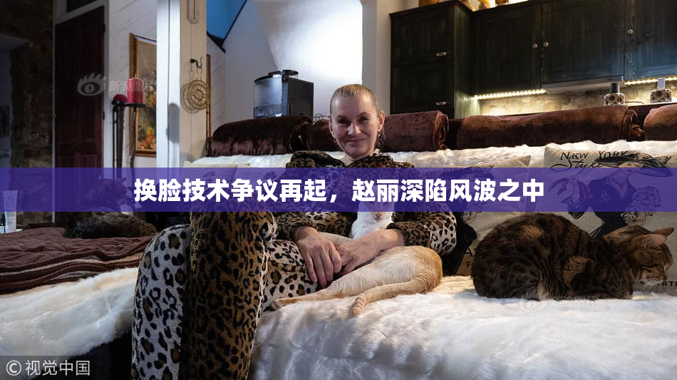 换脸技术争议再起，赵丽深陷风波之中