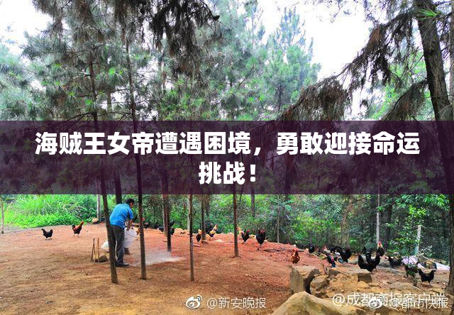 海贼王女帝遭遇困境，勇敢迎接命运挑战！