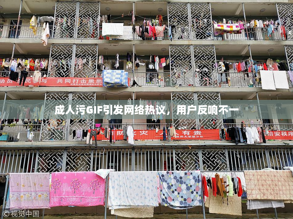 成人污GIF引发网络热议，用户反响不一