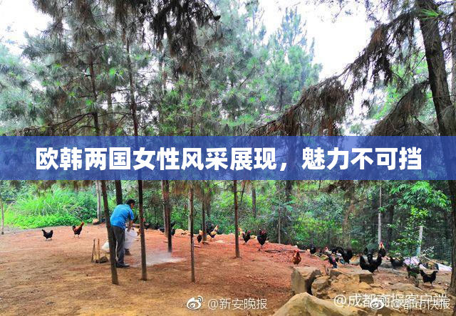 欧韩两国女性风采展现，魅力不可挡