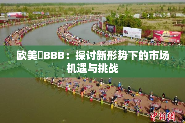 欧美槡BBB：探讨新形势下的市场机遇与挑战