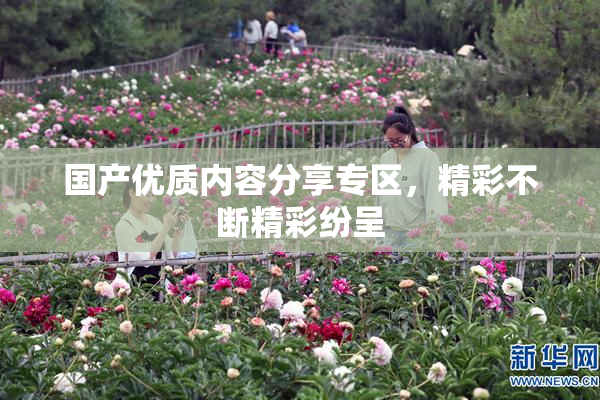 国产优质内容分享专区，精彩不断精彩纷呈