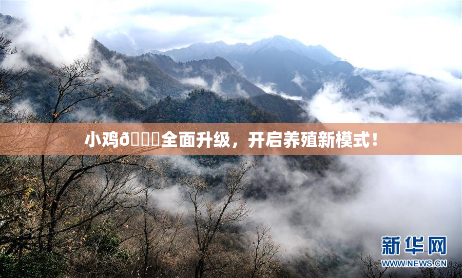 小鸡🐔全面升级，开启养殖新模式！