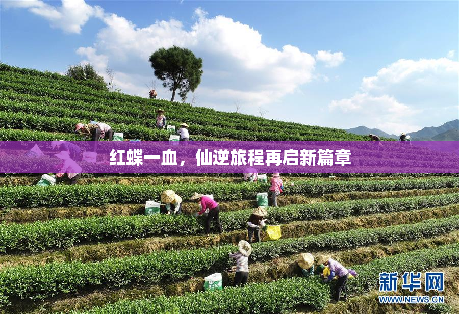 红蝶一血，仙逆旅程再启新篇章