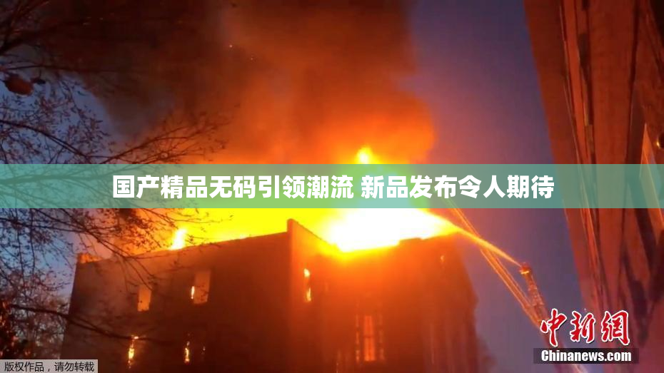 国产精品无码引领潮流 新品发布令人期待