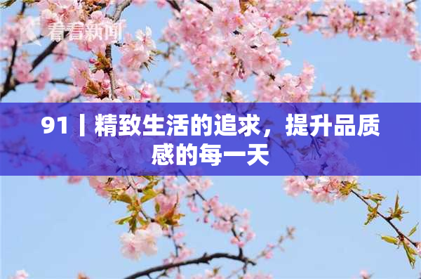 91丨精致生活的追求，提升品质感的每一天