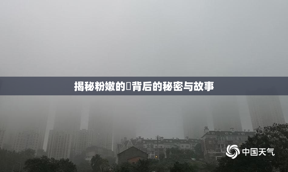 揭秘粉嫩的泬背后的秘密与故事