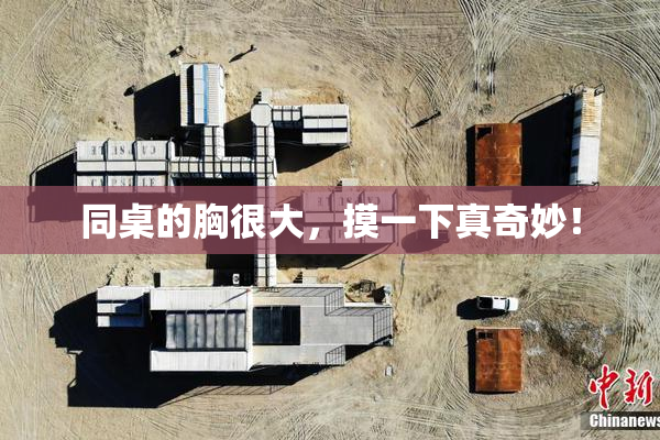 同桌的胸很大，摸一下真奇妙！