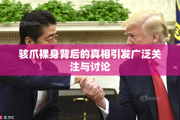 骇爪裸身背后的真相引发广泛关注与讨论