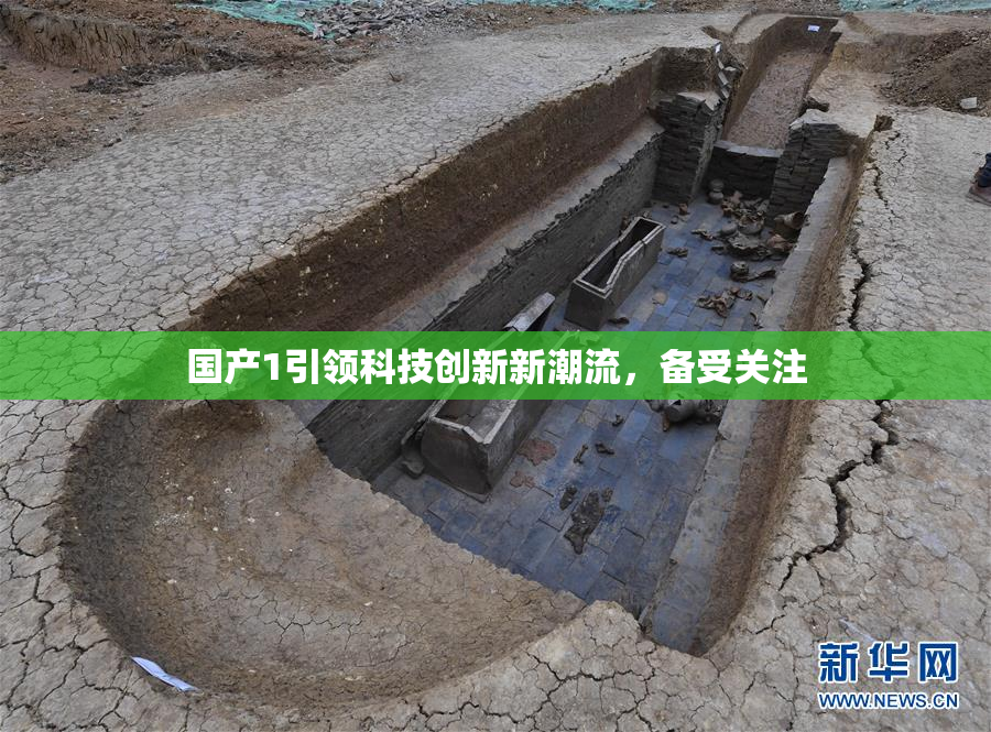 国产1引领科技创新新潮流，备受关注