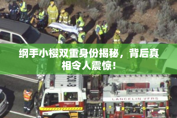 纲手小樱双重身份揭秘，背后真相令人震惊！
