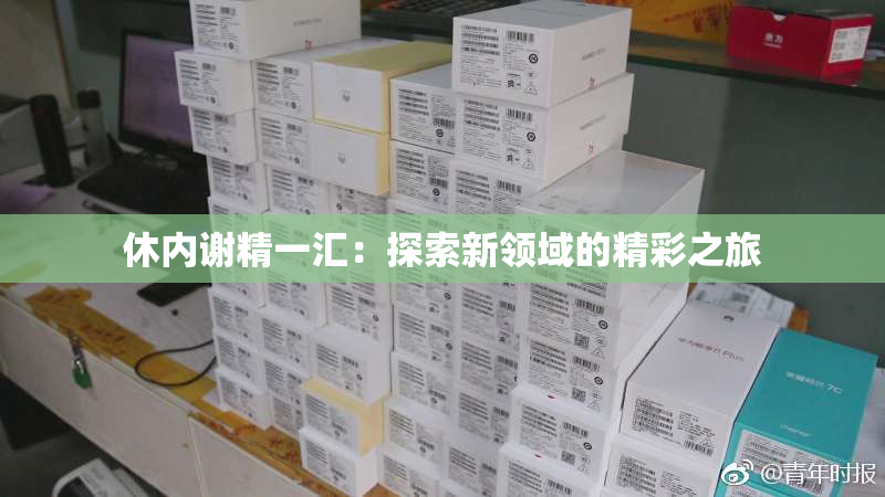 休内谢精一汇：探索新领域的精彩之旅