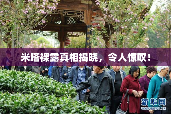 米塔裸露真相揭晓，令人惊叹！