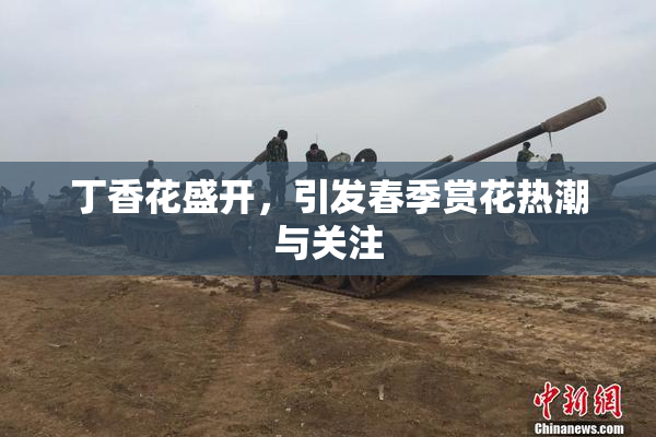 丁香花盛开，引发春季赏花热潮与关注