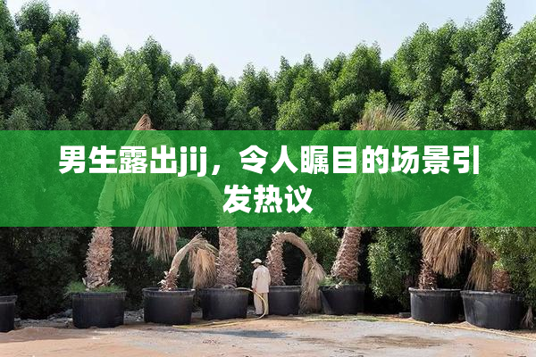 男生露出jij，令人瞩目的场景引发热议