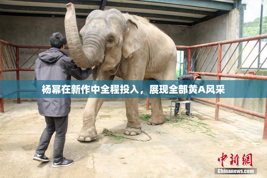 杨幂在新作中全程投入，展现全部黄A风采