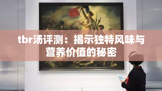 tbr汤评测：揭示独特风味与营养价值的秘密