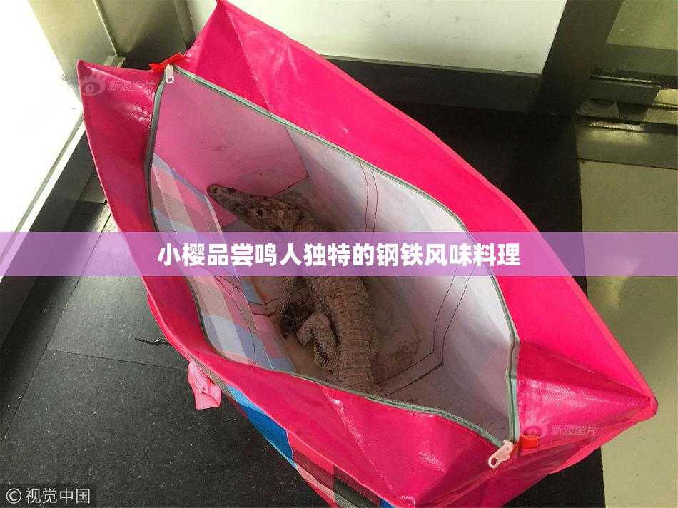 小樱品尝鸣人独特的钢铁风味料理