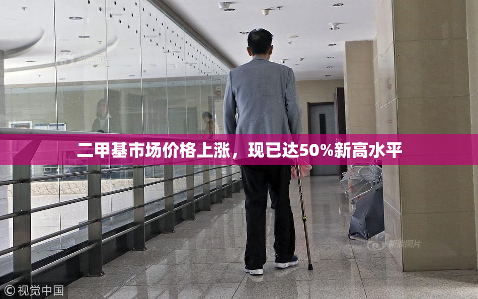 二甲基市场价格上涨，现已达50%新高水平