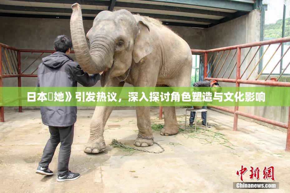 日本巜她》引发热议，深入探讨角色塑造与文化影响