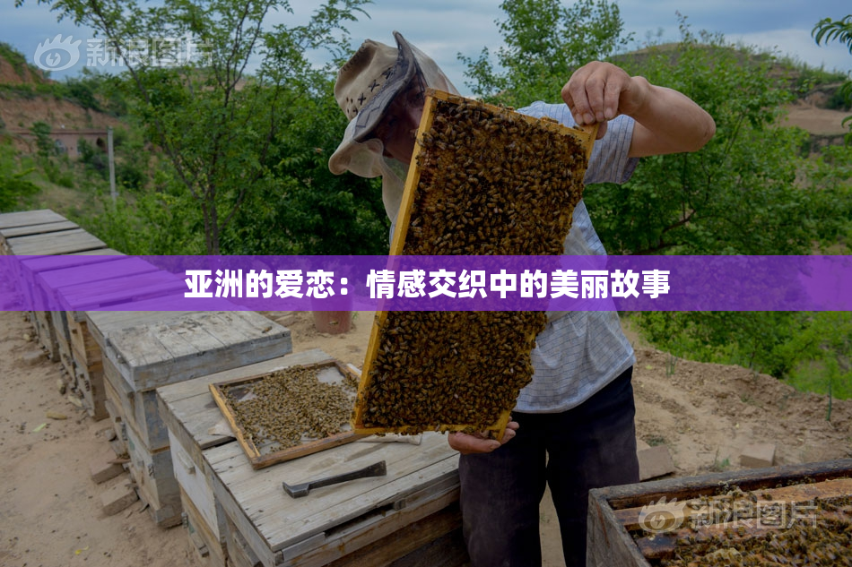 亚洲的爱恋：情感交织中的美丽故事