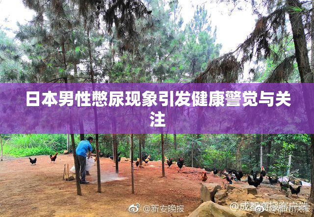 日本男性憋尿现象引发健康警觉与关注